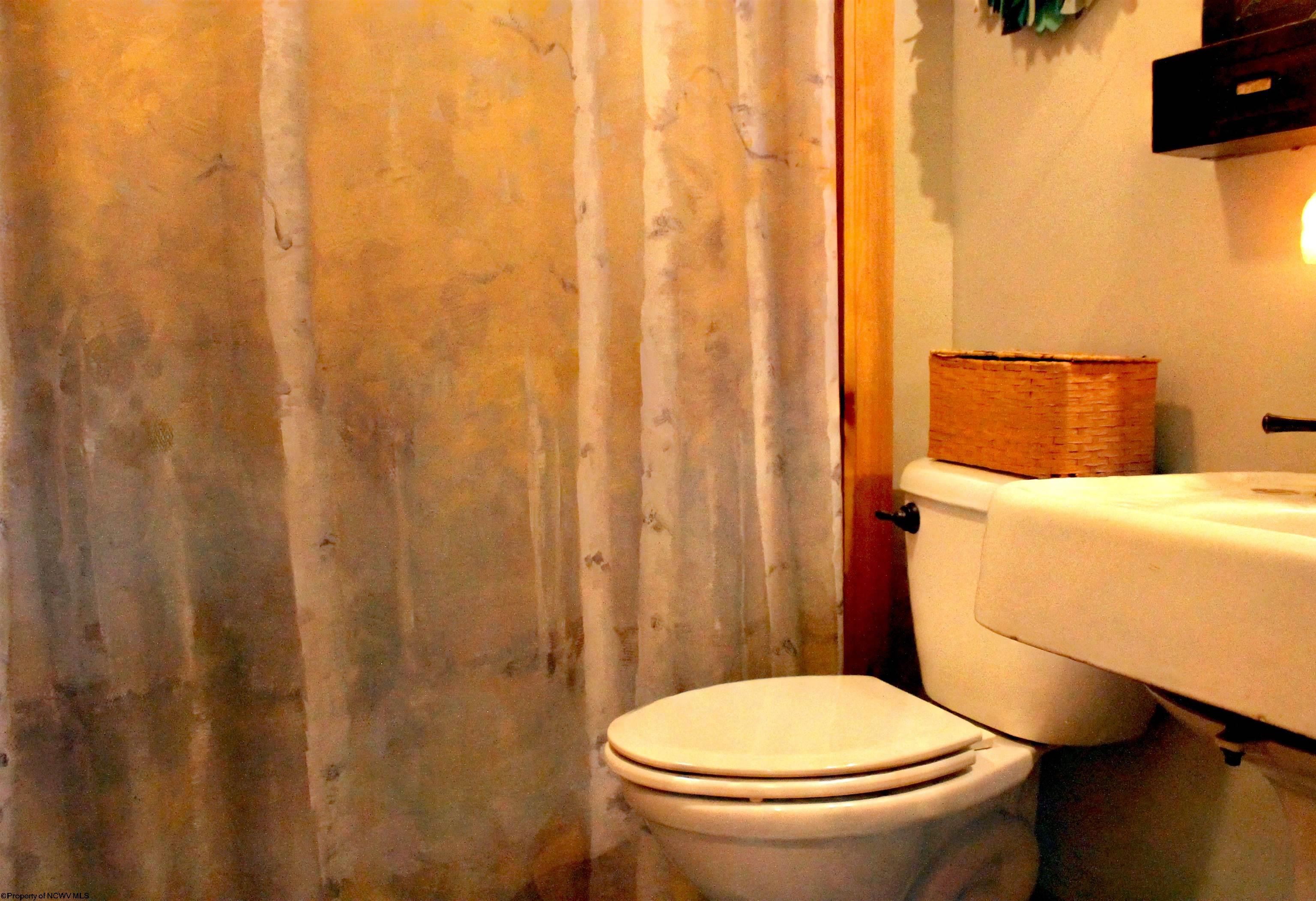 722 Valley Falls Road Fairmont, WV 26554 - Photo 22 of 37 Gallery Image 22