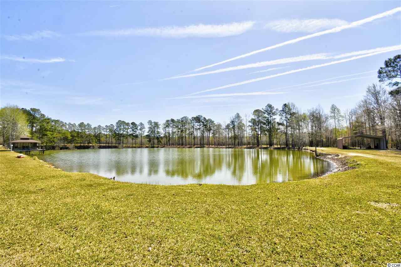 1310 Four Mile Road Conway, SC 29526 - Photo 35 of 40 Gallery Image 35
