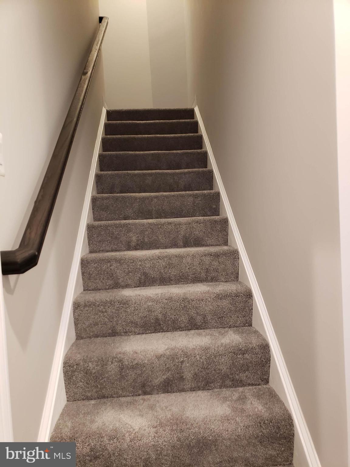2009 Ridge Road Haymarket, VA 20169 - Photo 45 of 68 Basement stairs