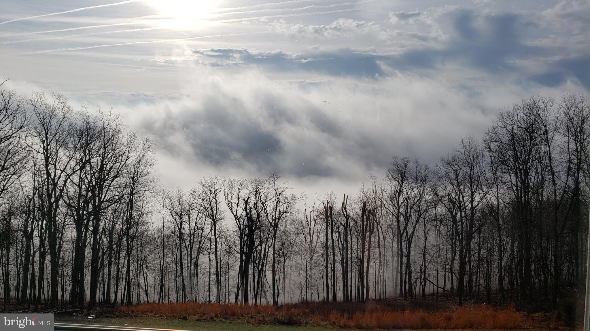 2009 Ridge Road Haymarket, VA 20169 - Photo 65 of 68
