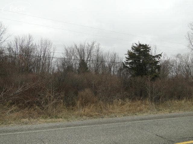 0 East Wilson Road Mount Morris, MI 48458 - Photo 2 of 3 20399452-1.JPG