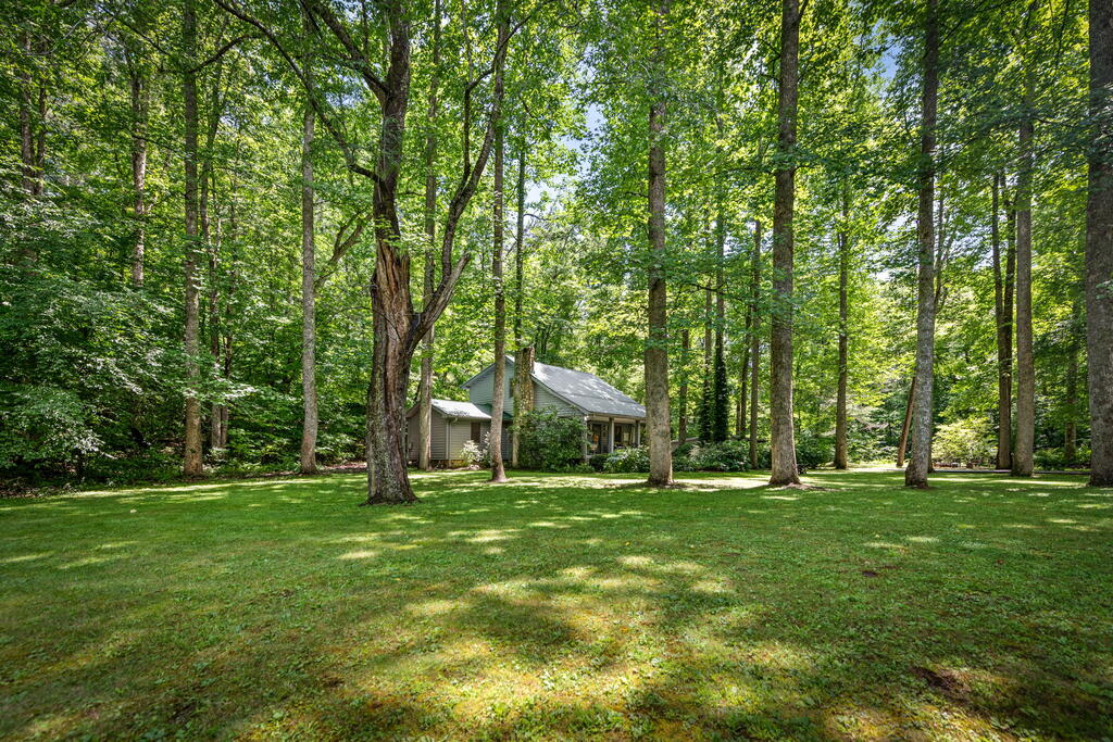 2977 Highway 2 Blue Ridge, GA 30513 - Photo 60 of 96 Gallery Image 60