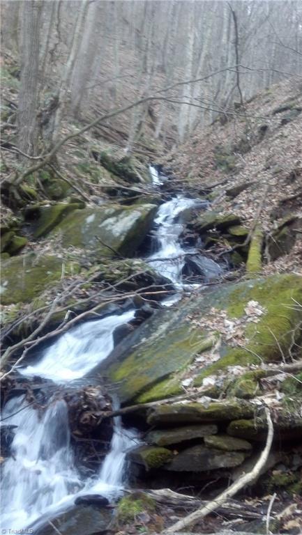 Off Lewis Road West Jefferson, NC 28694 - Photo 5 of 29 Water flowing from a large spring at the 4,000' level!