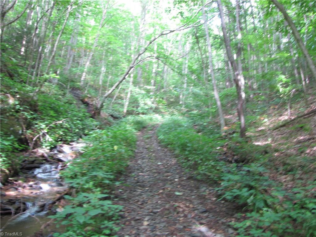 Off Lewis Road West Jefferson, NC 28694 - Photo 10 of 29 Gallery Image 10
