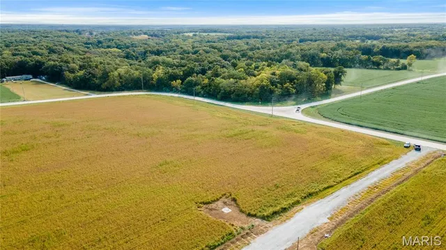 $80,000 | 101 Otto Court, Silex, MO 63377