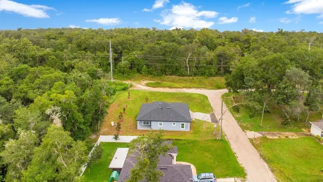 an aerial view of residential houses with outdoor space and trees