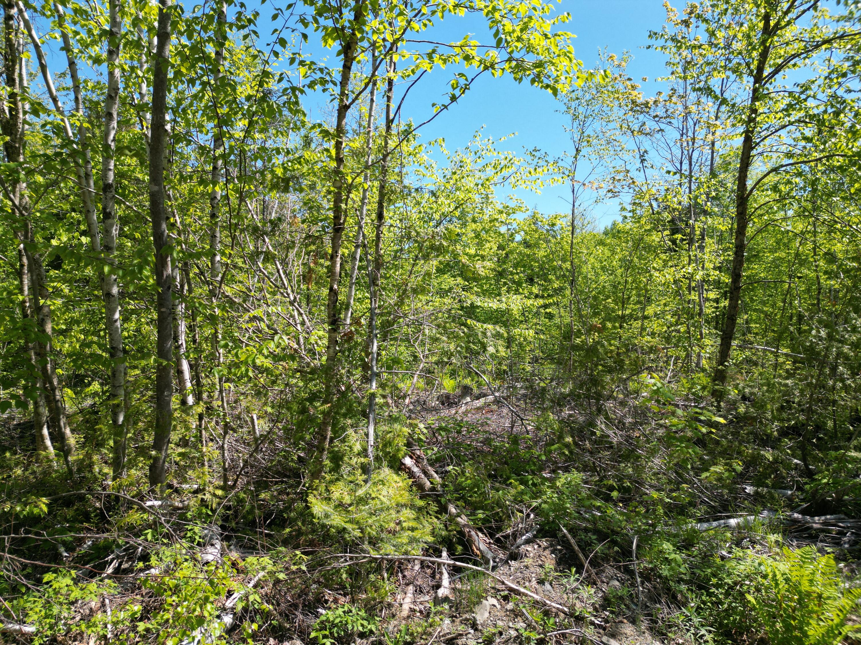 Lot 7 West Road Belgrade, ME 04917 - Photo 6 of 15 DJI_0045