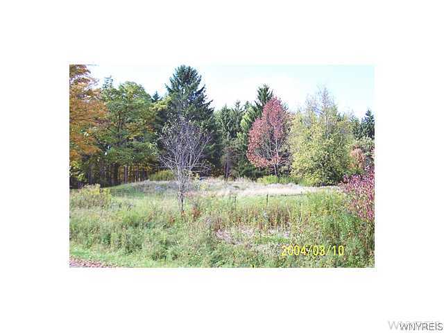 Vl Porter Road Cuba, NY 14727 - Photo 1 of 1 Land/Lot