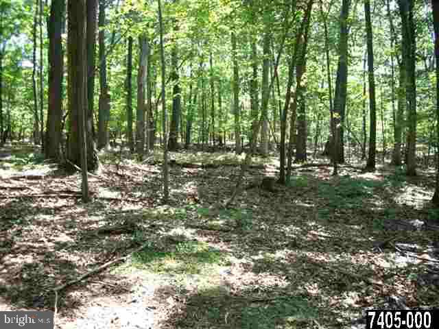 Lot 1 A Ridge Road Aspers, PA 17304 - Photo 3 of 13 Gallery Image 3