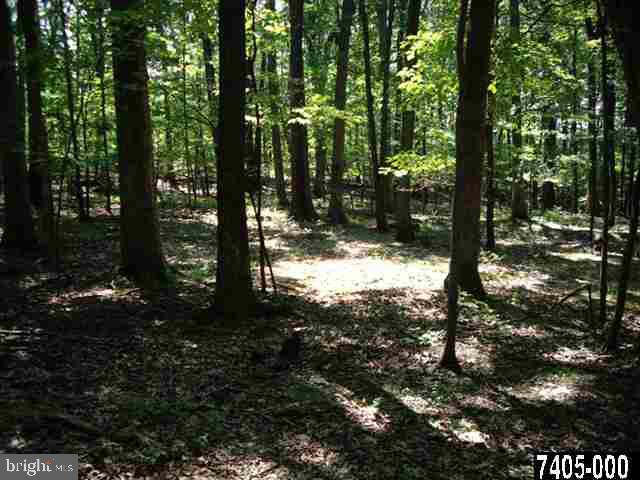 Lot 1 A Ridge Road Aspers, PA 17304 - Photo 4 of 13 Gallery Image 4