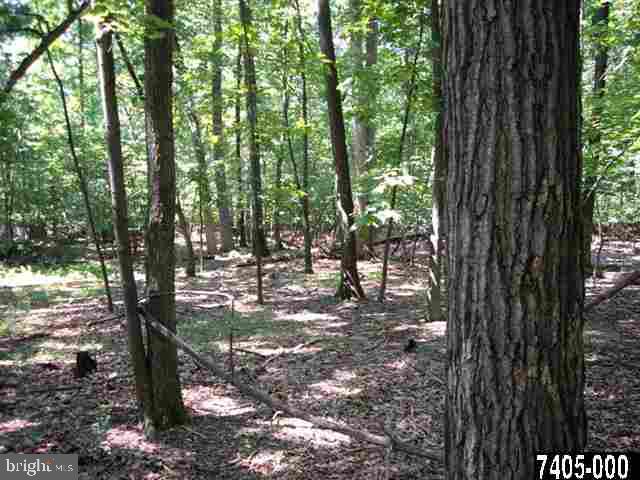Lot 1 A Ridge Road Aspers, PA 17304 - Photo 5 of 13 Gallery Image 5
