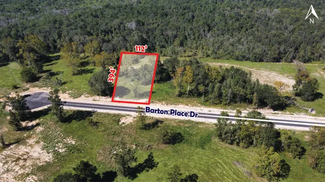 a view of a park with large trees