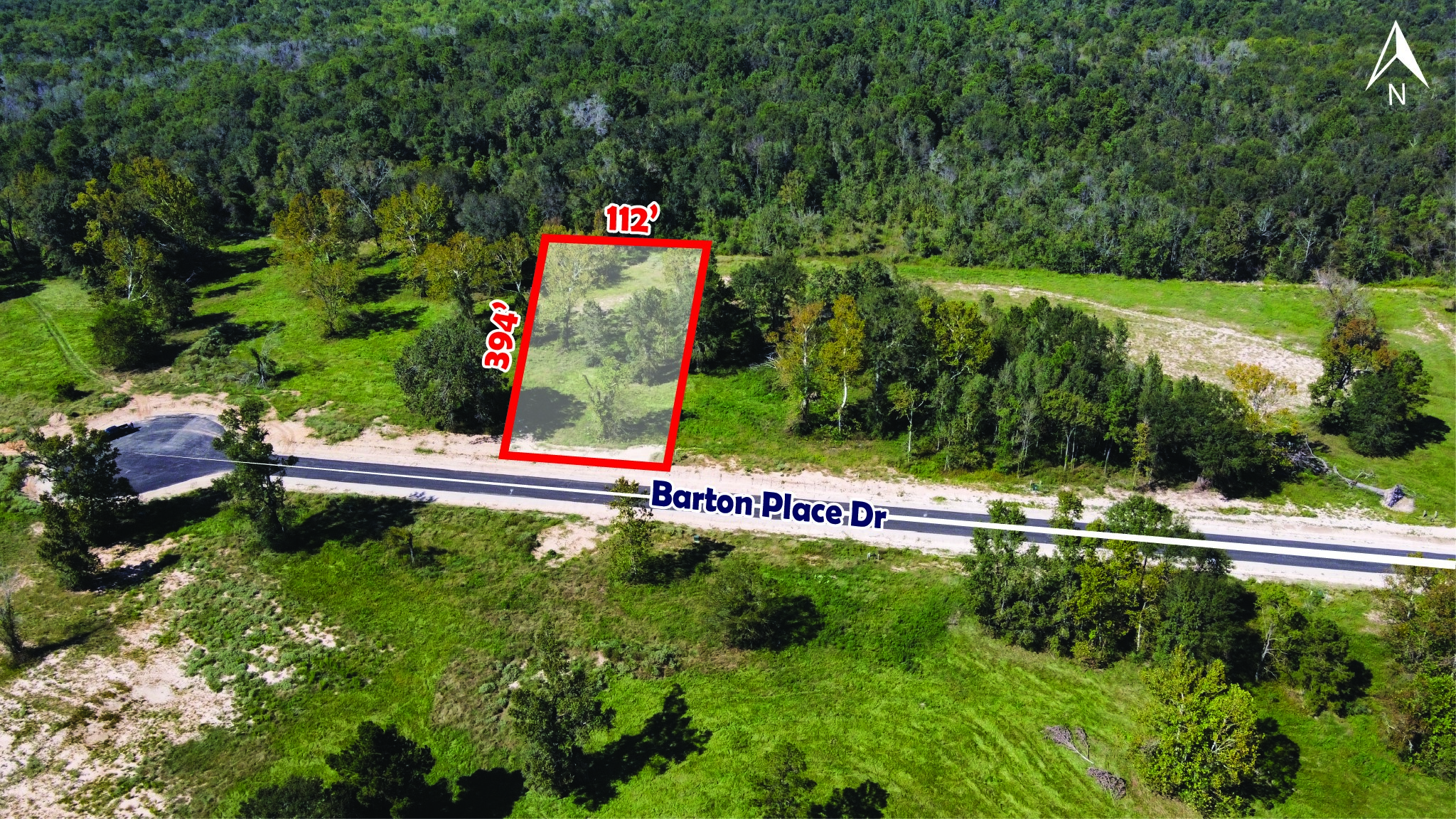 a view of a park with large trees