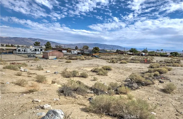 a view of a dry yard with wooden fence