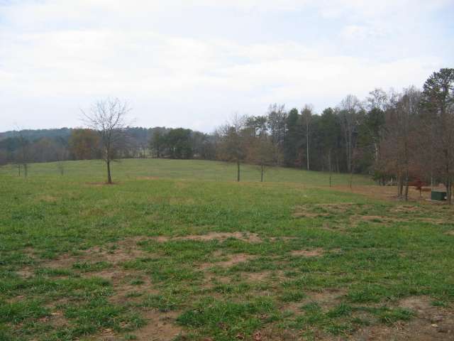 240 Cole Road, Unit AUCTION Campobello, SC 29322 - Photo 2 of 8