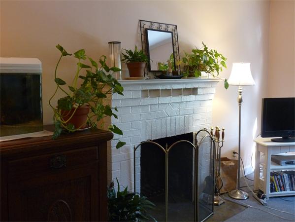9-11 Undine Road Boston, MA 02135 - Photo 4 of 12 Gallery Image 4