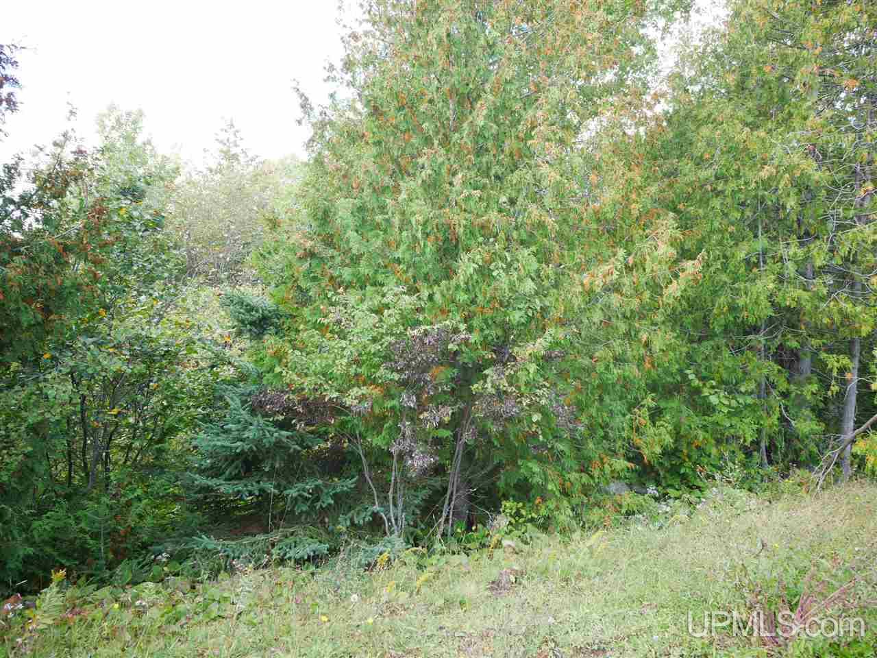Tbd Gratiot River Road Allouez, MI 49805 - Photo 4 of 7