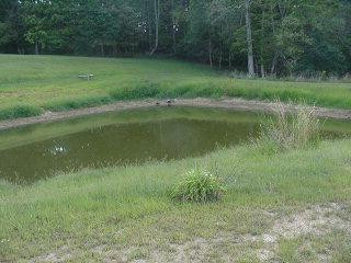 1671 Laurel River Road London, KY 40744 - Photo 2 of 2 Photo 2
