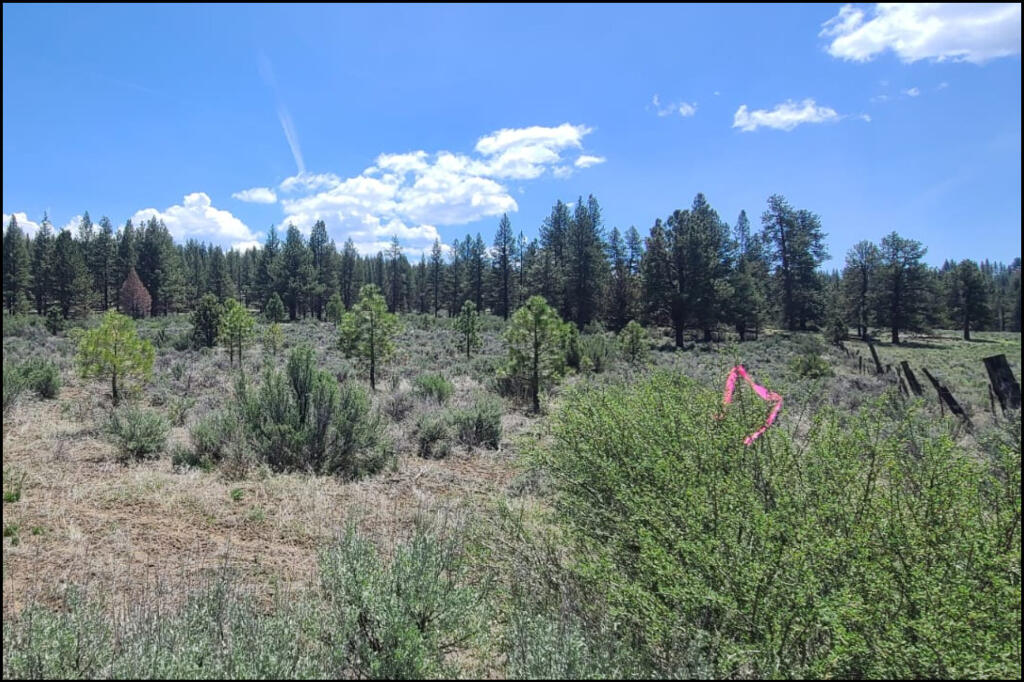 288110 Tableland Road Chiloquin, OR 97624 - Photo 13 of 24 11