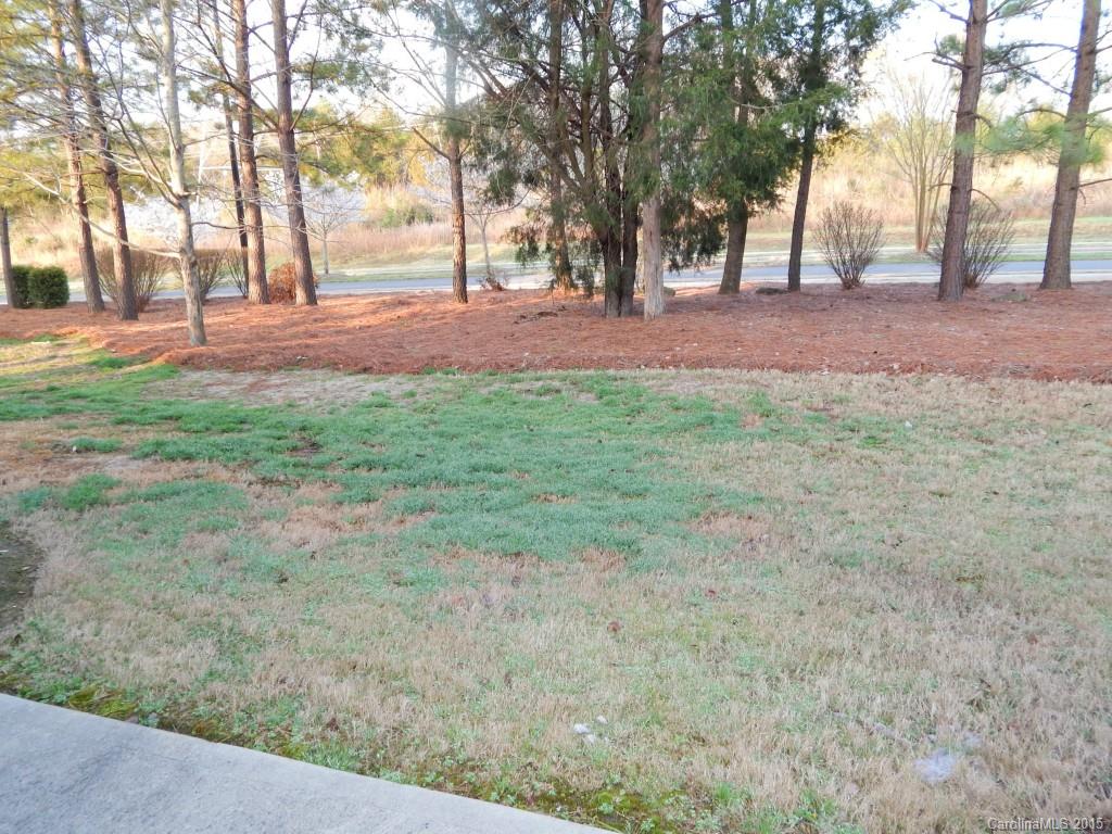 1677 Alpine Ridge Place, Unit 1677 Rock Hill, SC 29732 - Photo 18 of 20 Gallery Image 18