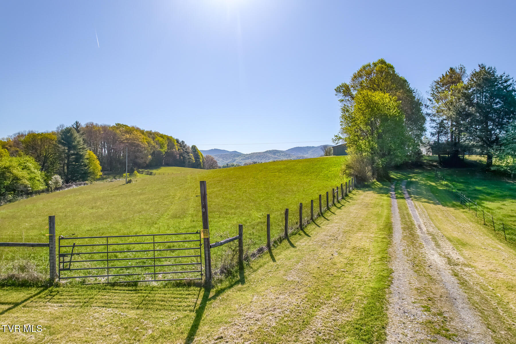 1602 Winchester Road Shady Valley, TN 37688 - Photo 4 of 27 1602 Winchester Rd-4