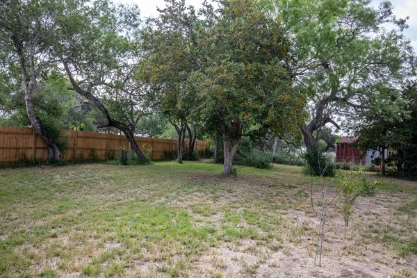 a view of a yard with a tree