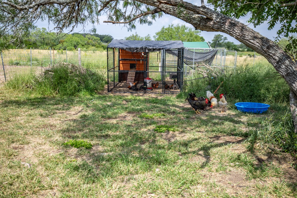 143 Harrison Road Beeville, TX 78102 - Photo 23 of 39 View of yard with exterior structure and an outbuilding