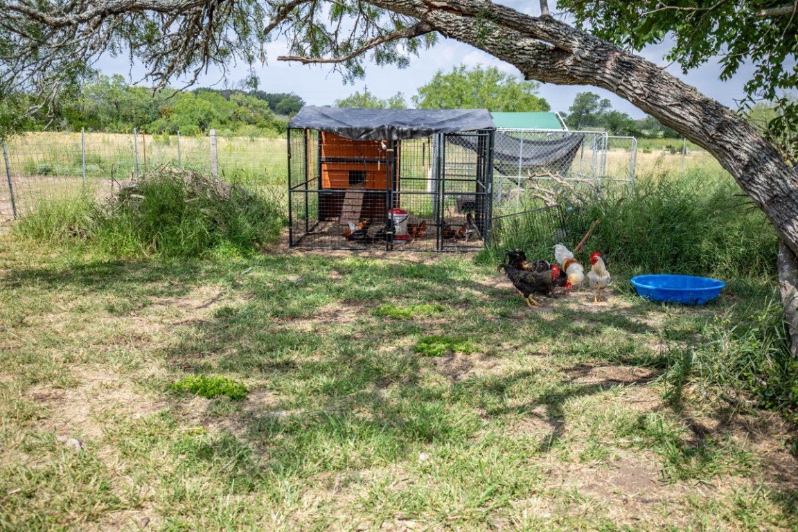 143 Harrison Road Beeville, TX 78102 - Photo 23 of 39 View of yard with exterior structure and an outbuilding