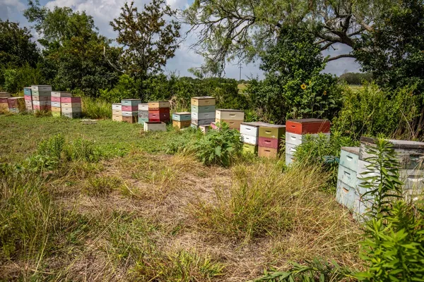 a view of lake and mountain