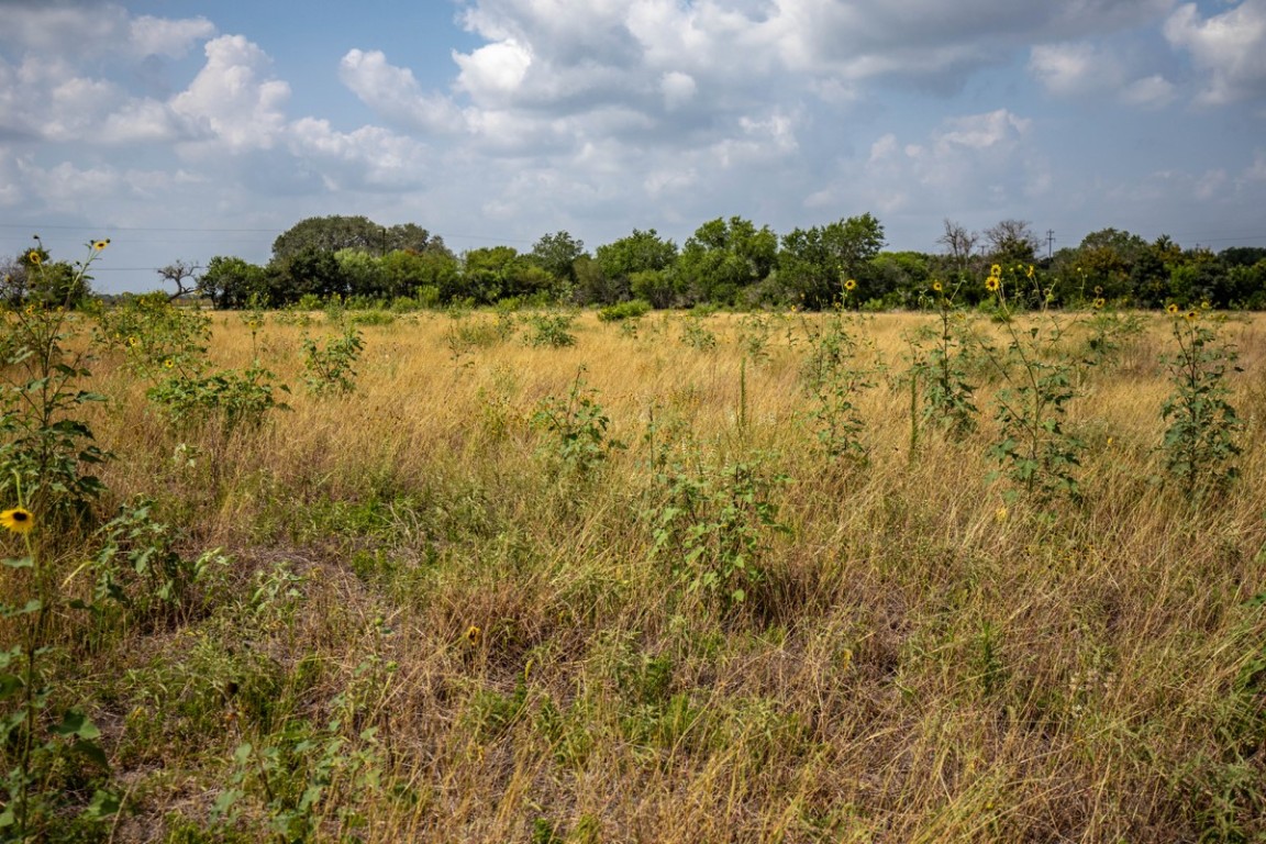 143 Harrison Road Beeville, TX 78102 - Photo 28 of 39 View of local wilderness featuring rural landscape