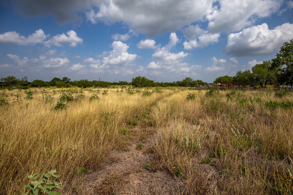 143 Harrison Road Beeville, TX 78102 - Photo 29 of 39 View of nature featuring rural landscape