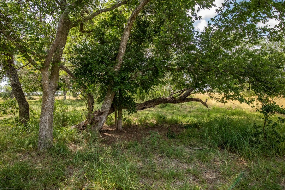 143 Harrison Road Beeville, TX 78102 - Photo 30 of 39 View of undeveloped land