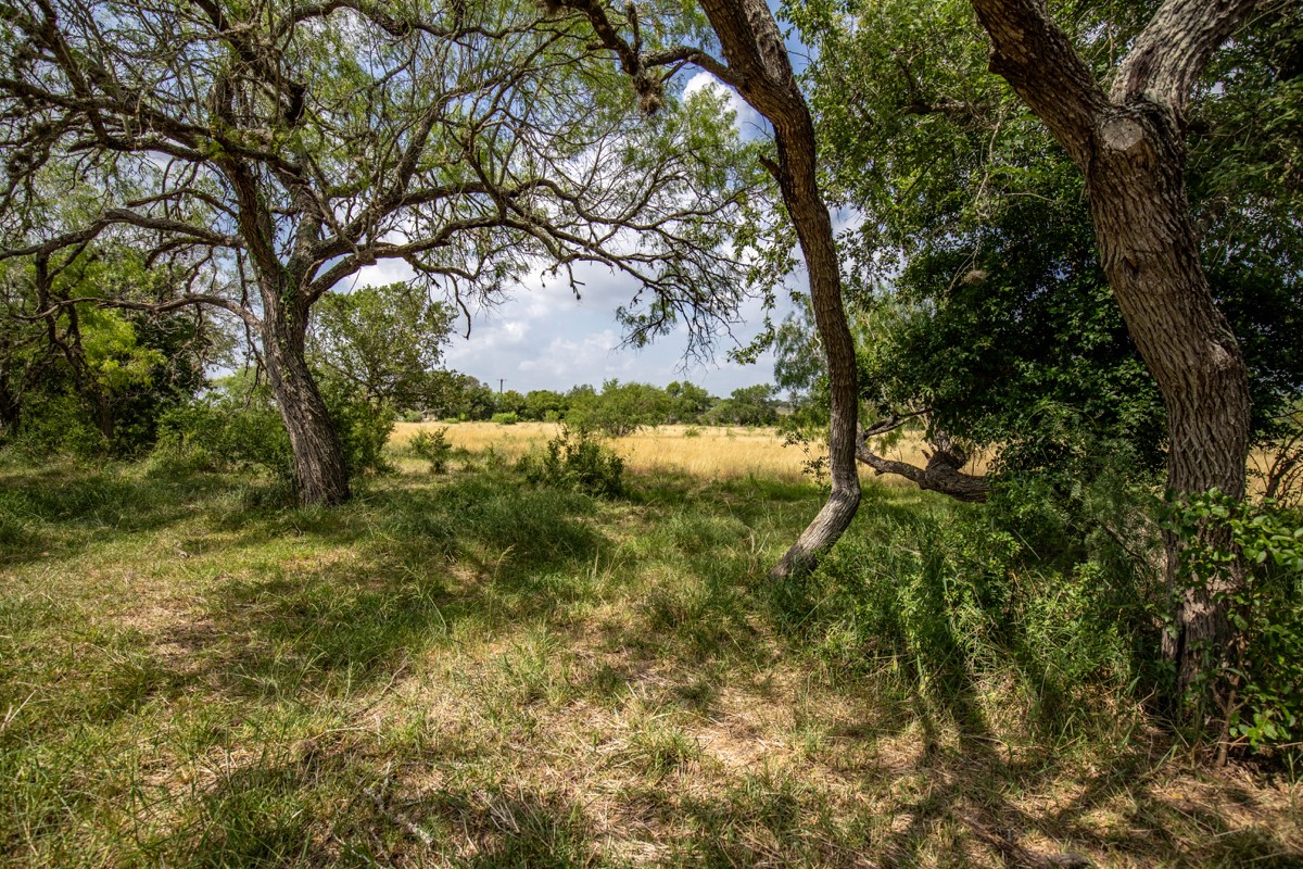 143 Harrison Road Beeville, TX 78102 - Photo 31 of 39 View of nature