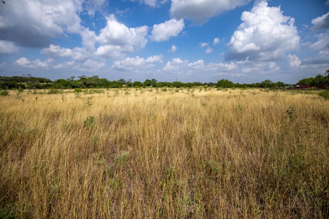 143 Harrison Road Beeville, TX 78102 - Photo 35 of 39 View of nature with rural landscape