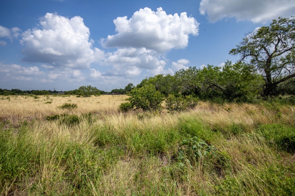 143 Harrison Road Beeville, TX 78102 - Photo 36 of 39 View of local wilderness featuring rural landscape