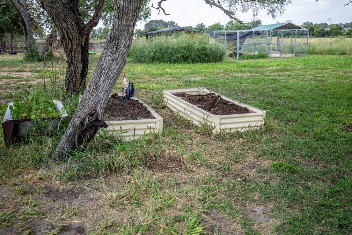 143 Harrison Road Beeville, TX 78102 - Photo 37 of 39 View of yard with a garden