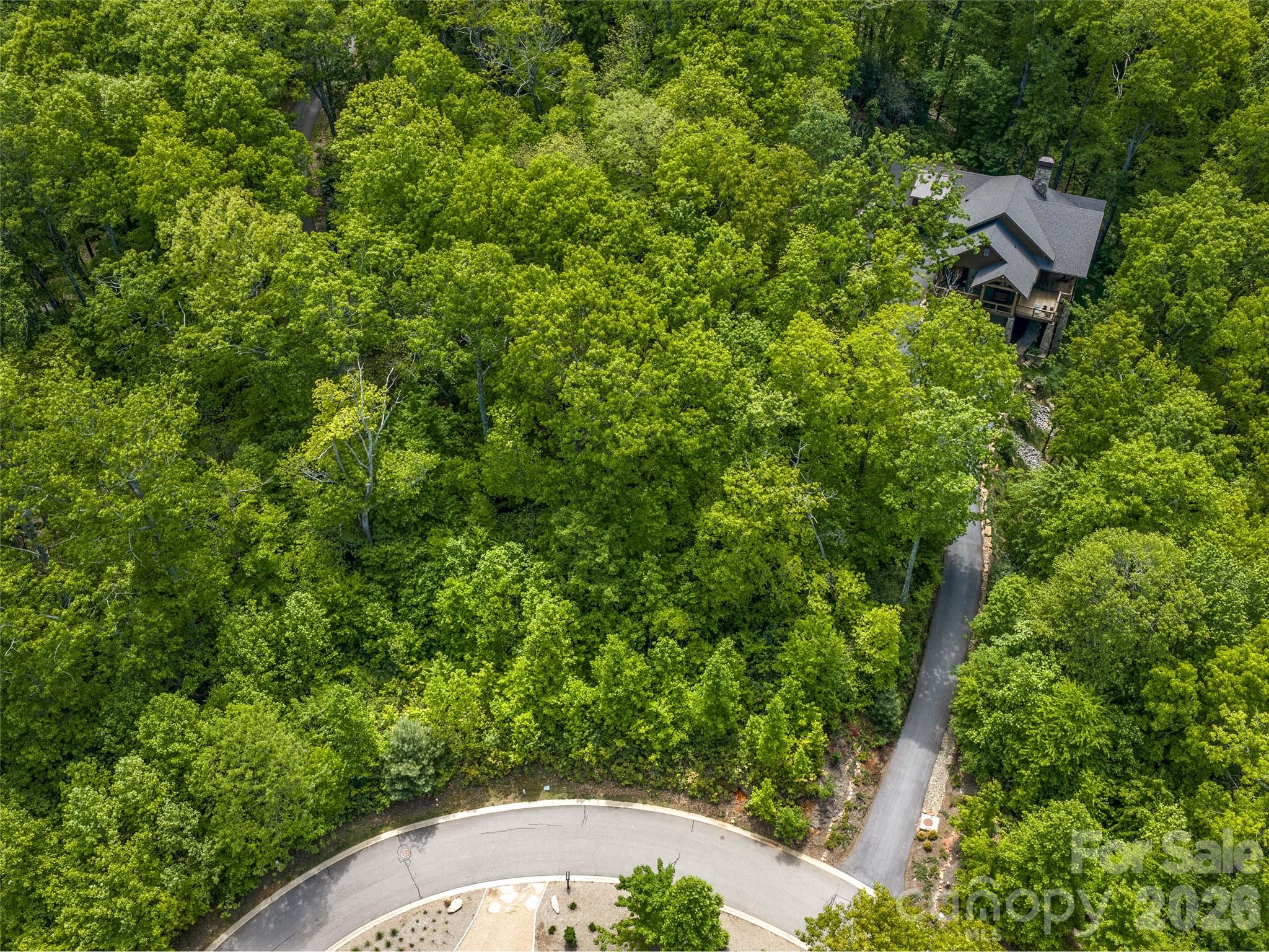 9 Crockett Ridge Road Black Mountain, NC 28711 - Photo 3 of 17