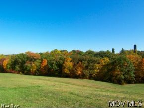 39859 Silver Ridge Road Reedsville, OH 45772 - Photo 5 of 12 Land
