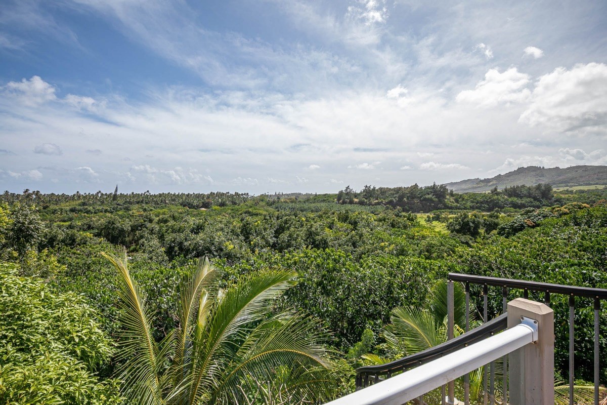 4865 F Nonou Road, Unit 6 Kapaa, HI 96746 - Photo 3 of 20 Gallery Image 3