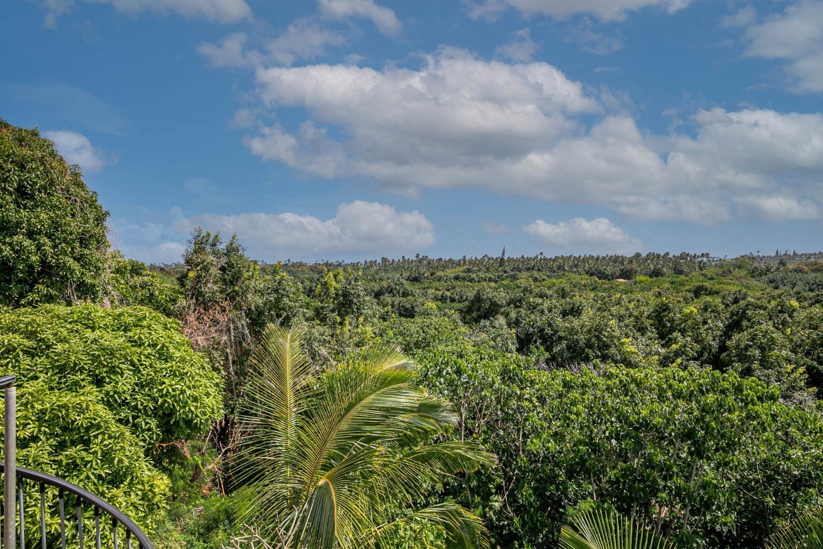 4865 F Nonou Road, Unit 6 Kapaa, HI 96746 - Photo 4 of 20 Gallery Image 4