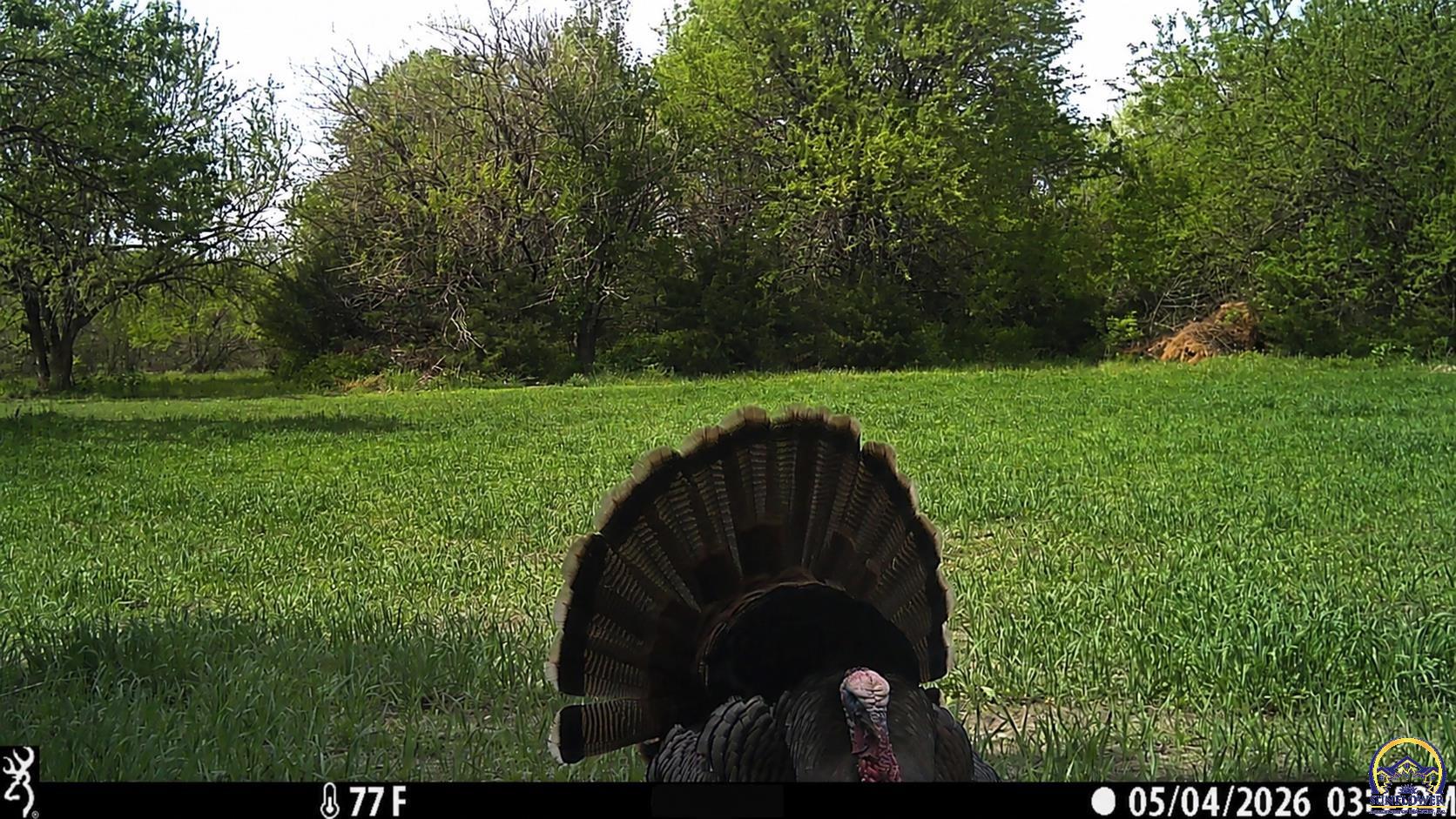 18597 190th Road Denison, KS 66419 - Photo 37 of 49