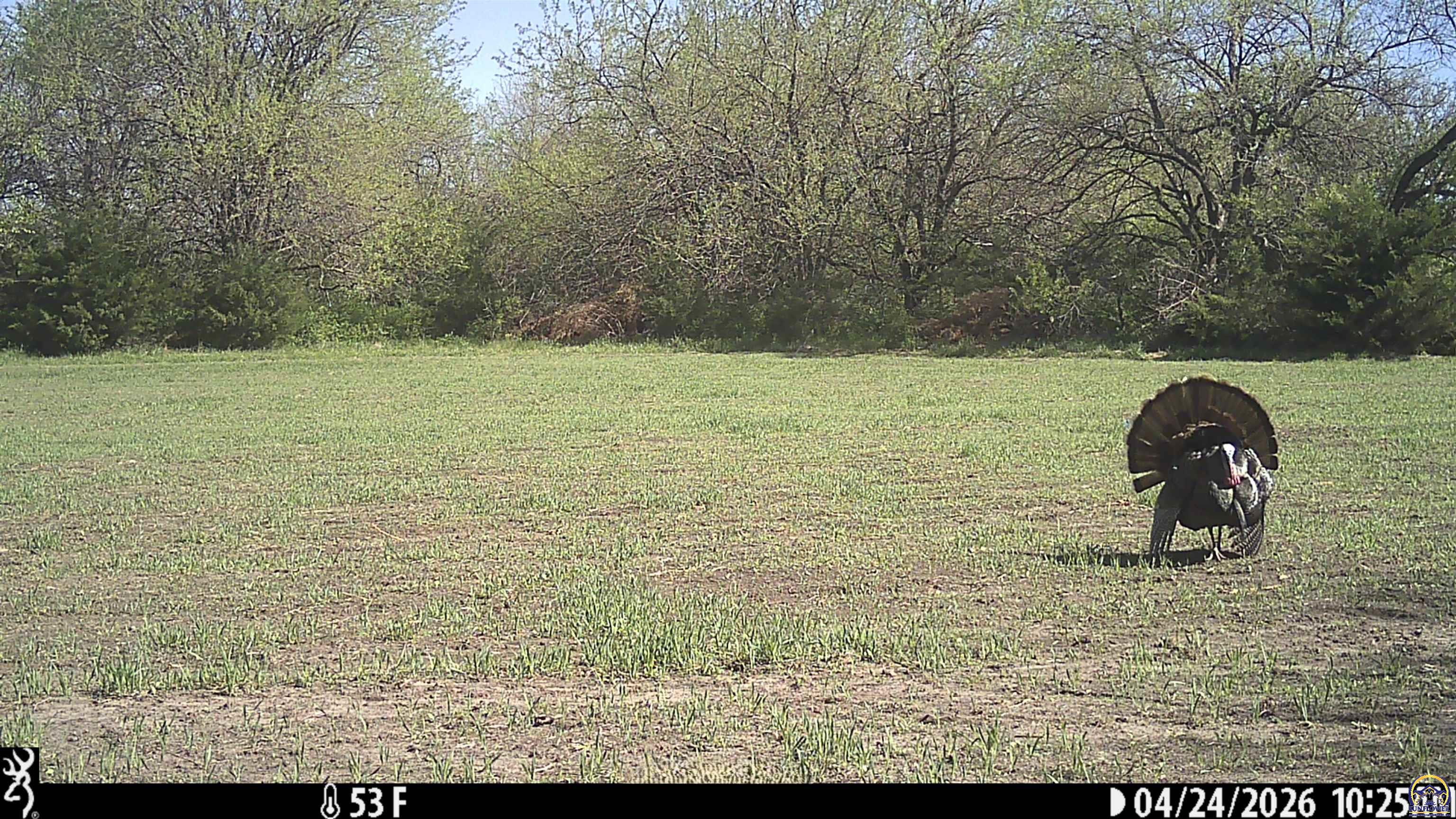 18597 190th Road Denison, KS 66419 - Photo 47 of 49