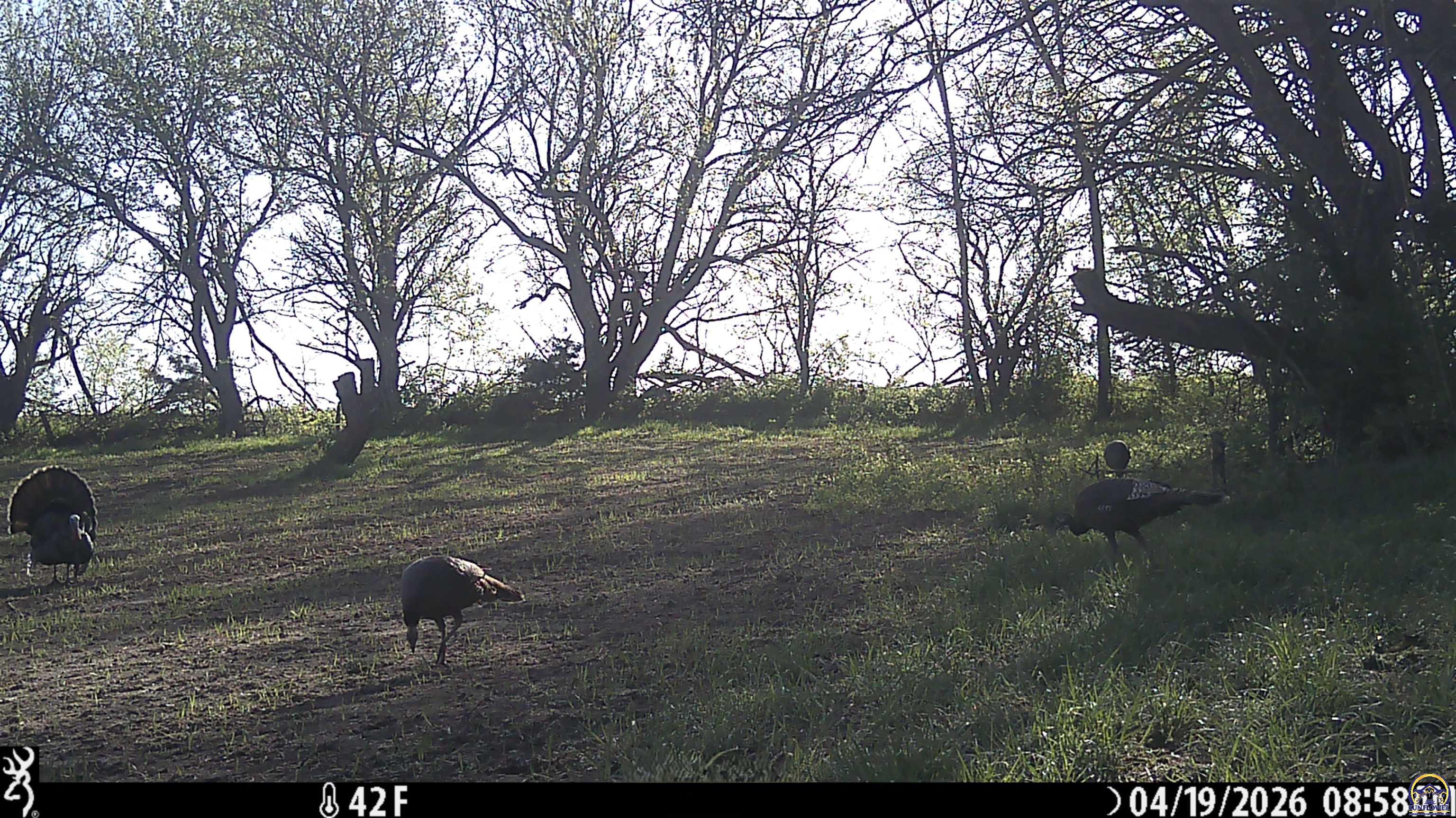 18597 190th Road Denison, KS 66419 - Photo 48 of 49