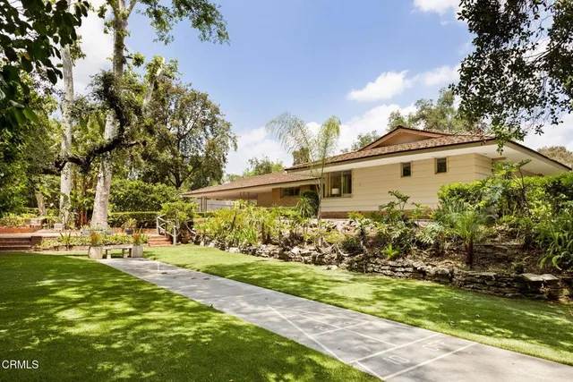 a view of a yard with potted plants and large trees