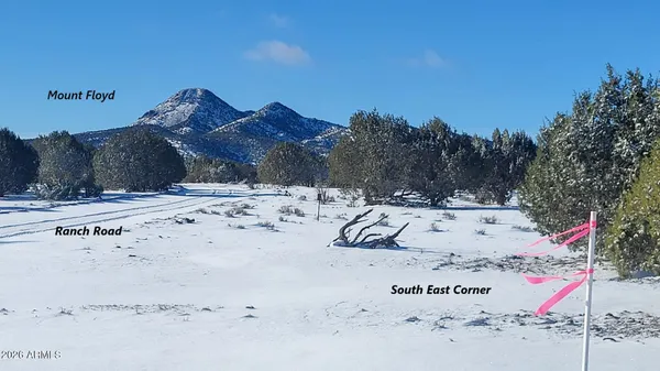 a view of a dry snow on the beach