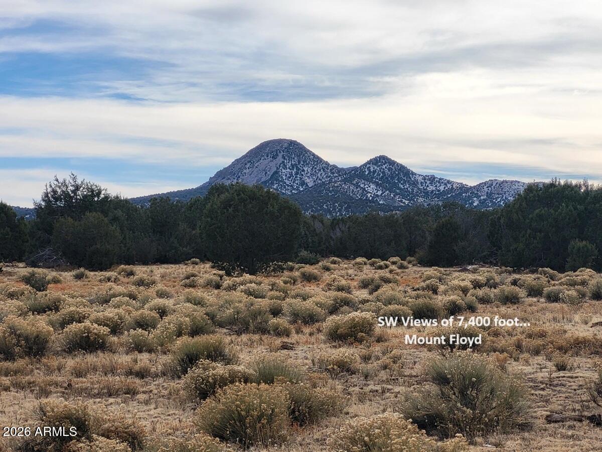 51 Southwest Ranch Road, Unit 51C Williams, AZ 86046 - Photo 2 of 11 a view of a road with a large tree