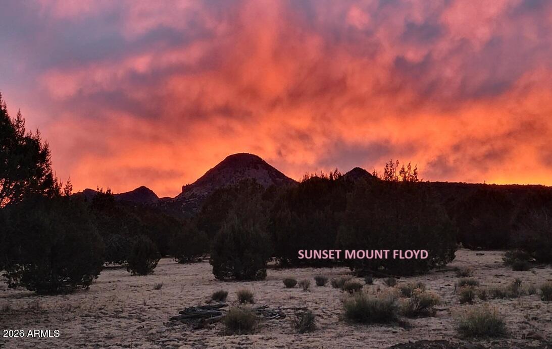 51 Southwest Ranch Road, Unit 51C Williams, AZ 86046 - Photo 3 of 11 a view of outdoor space with mountain view