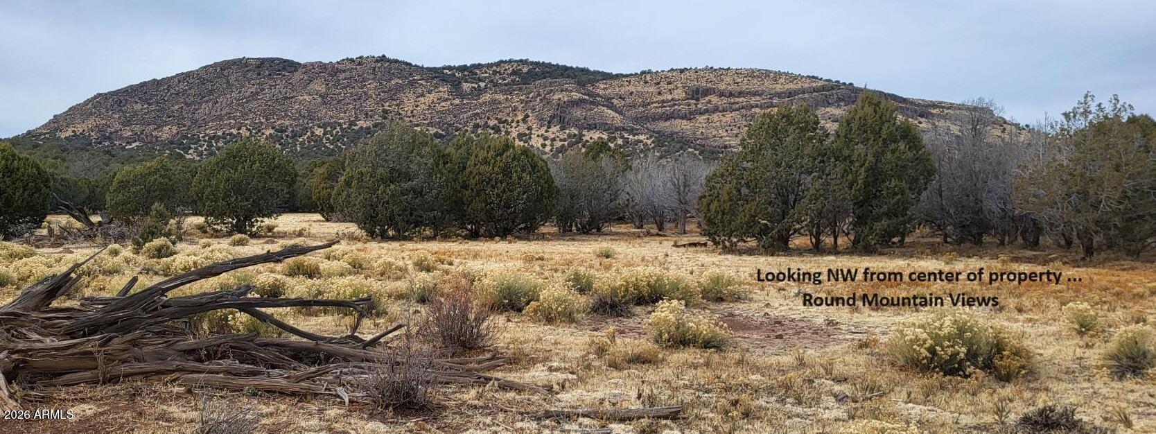 51 Southwest Ranch Road, Unit 51C Williams, AZ 86046 - Photo 4 of 11 a view of a yard covered with snow