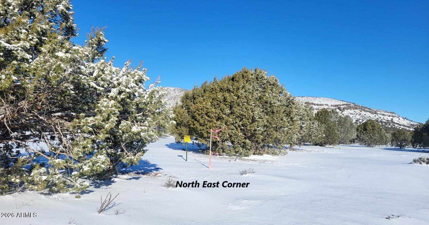51 Southwest Ranch Road, Unit 51C Williams, AZ 86046 - Photo 5 of 11 a view of mountain view with a tree in the background