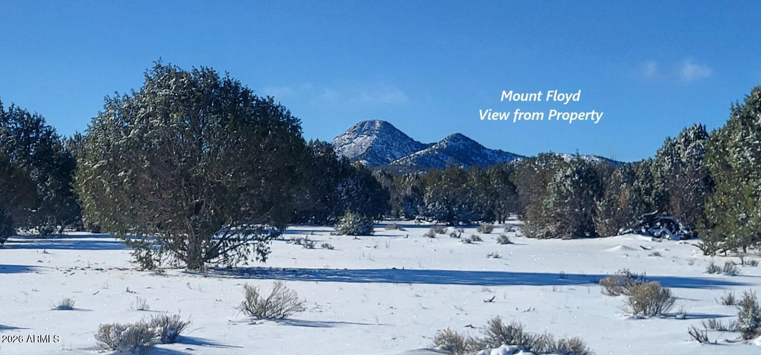 51 Southwest Ranch Road, Unit 51C Williams, AZ 86046 - Photo 6 of 11 a view of snow with yard